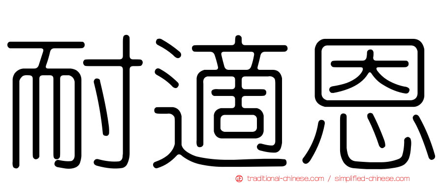 耐適恩