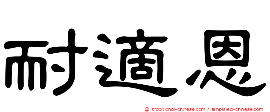 耐適恩