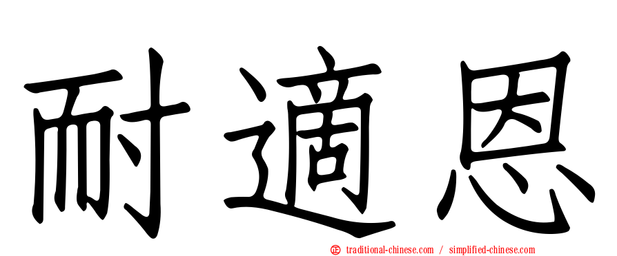 耐適恩