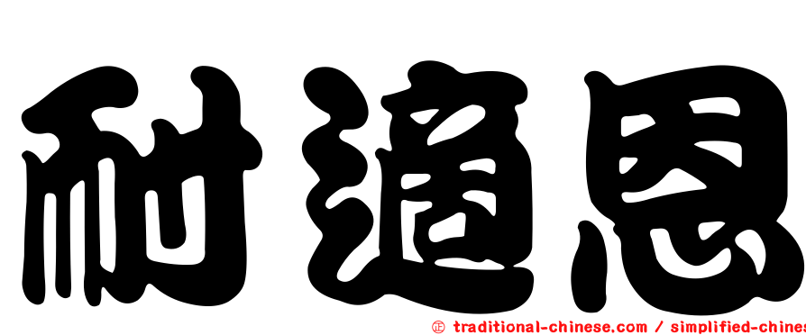 耐適恩