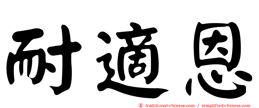 耐適恩