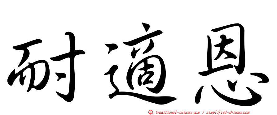 耐適恩