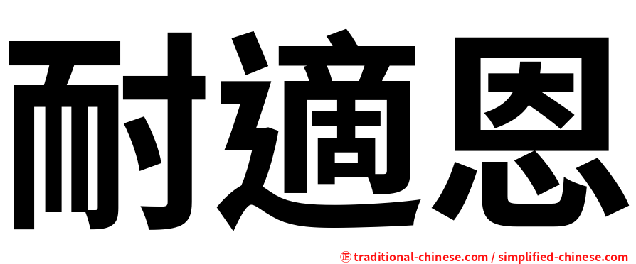 耐適恩