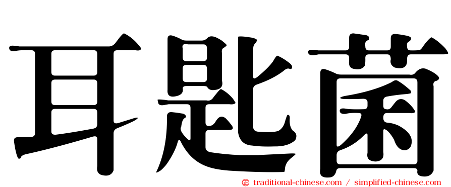 耳匙菌