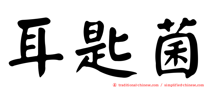 耳匙菌