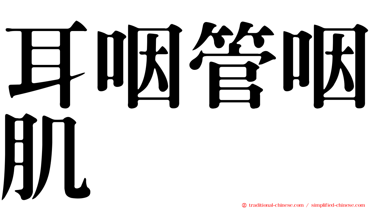 耳咽管咽肌