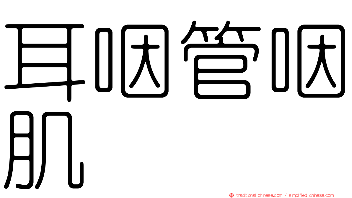 耳咽管咽肌