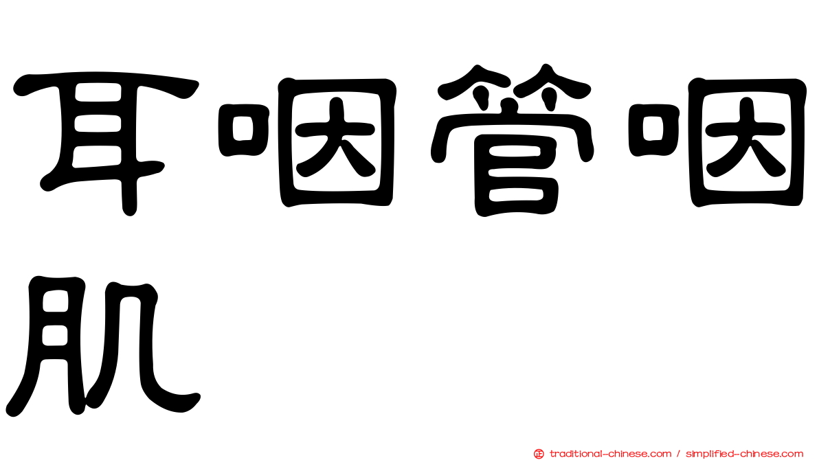 耳咽管咽肌