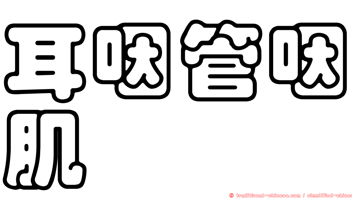 耳咽管咽肌