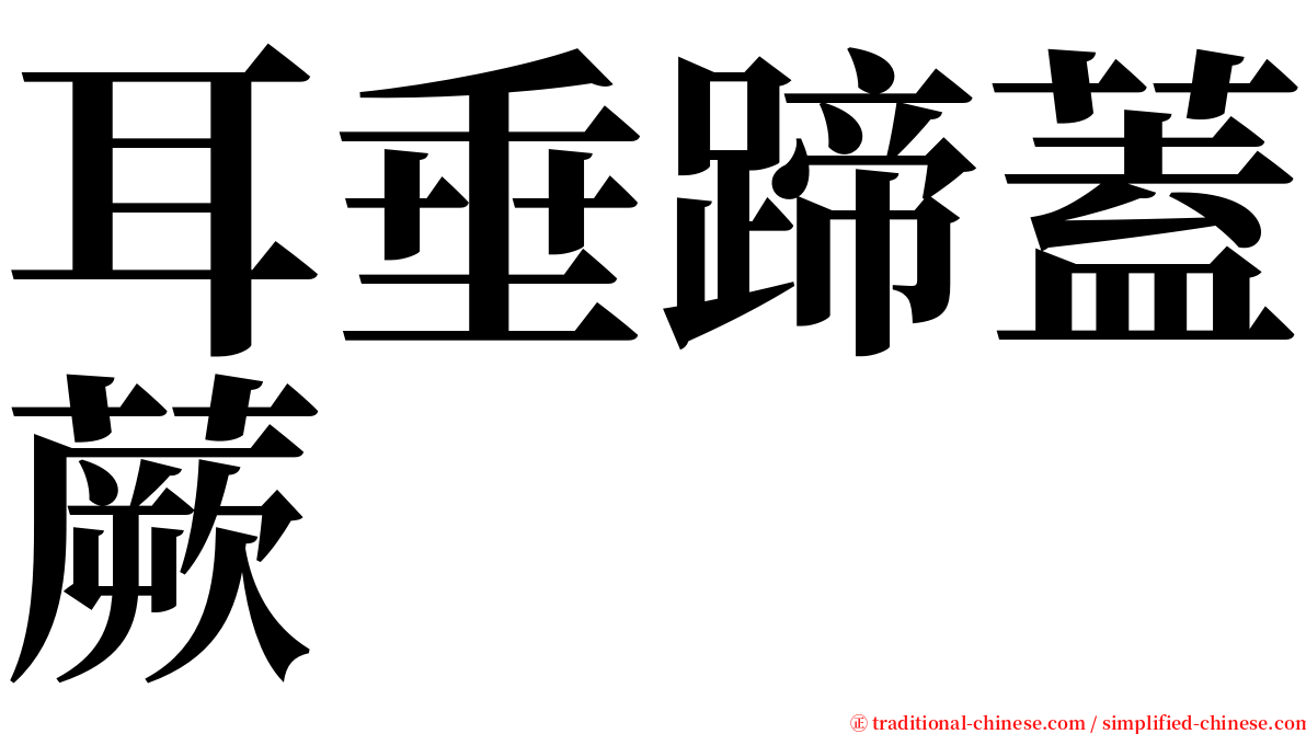 耳垂蹄蓋蕨 serif font