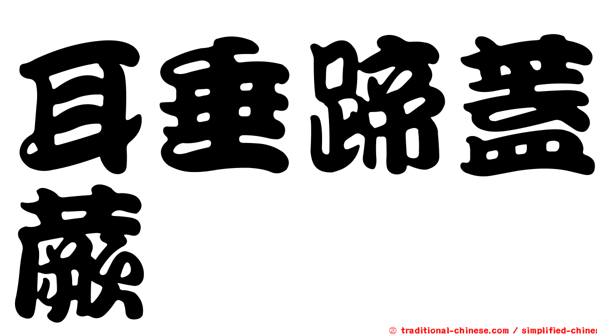 耳垂蹄蓋蕨