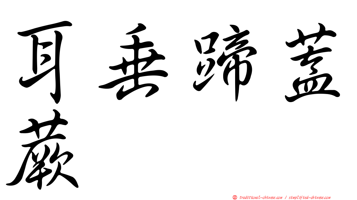 耳垂蹄蓋蕨