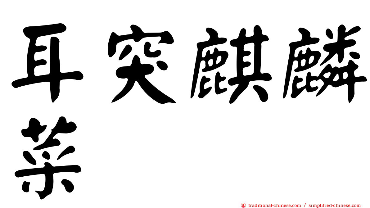 耳突麒麟菜