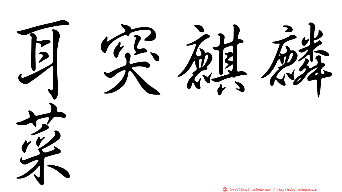 耳突麒麟菜