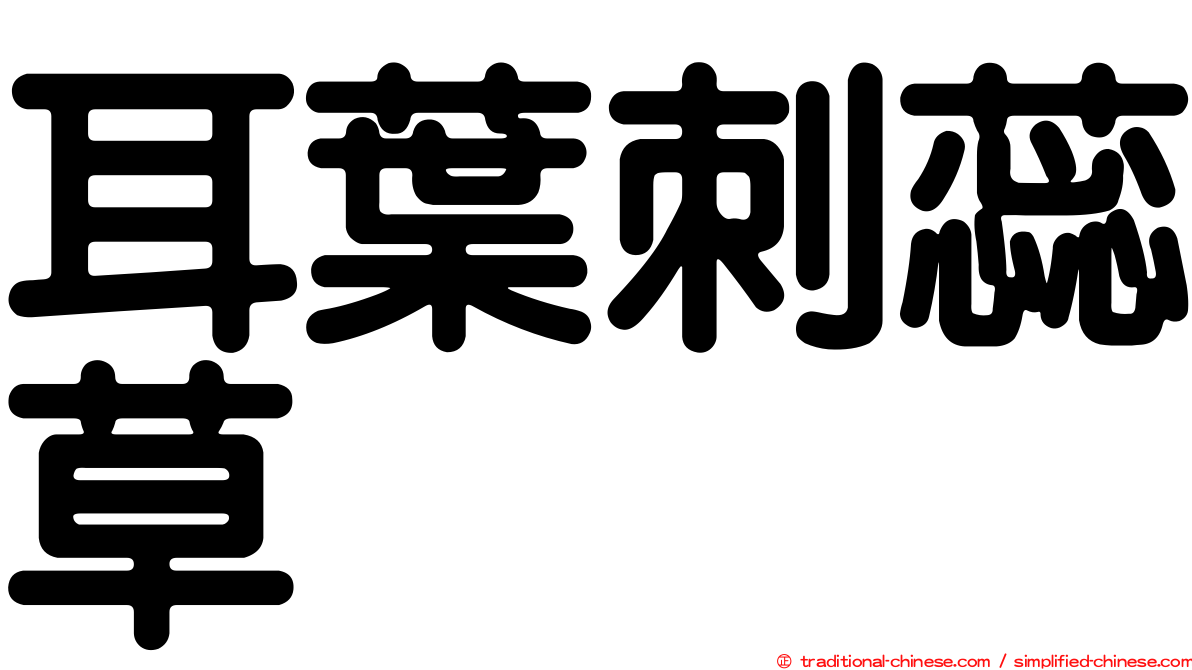 耳葉刺蕊草