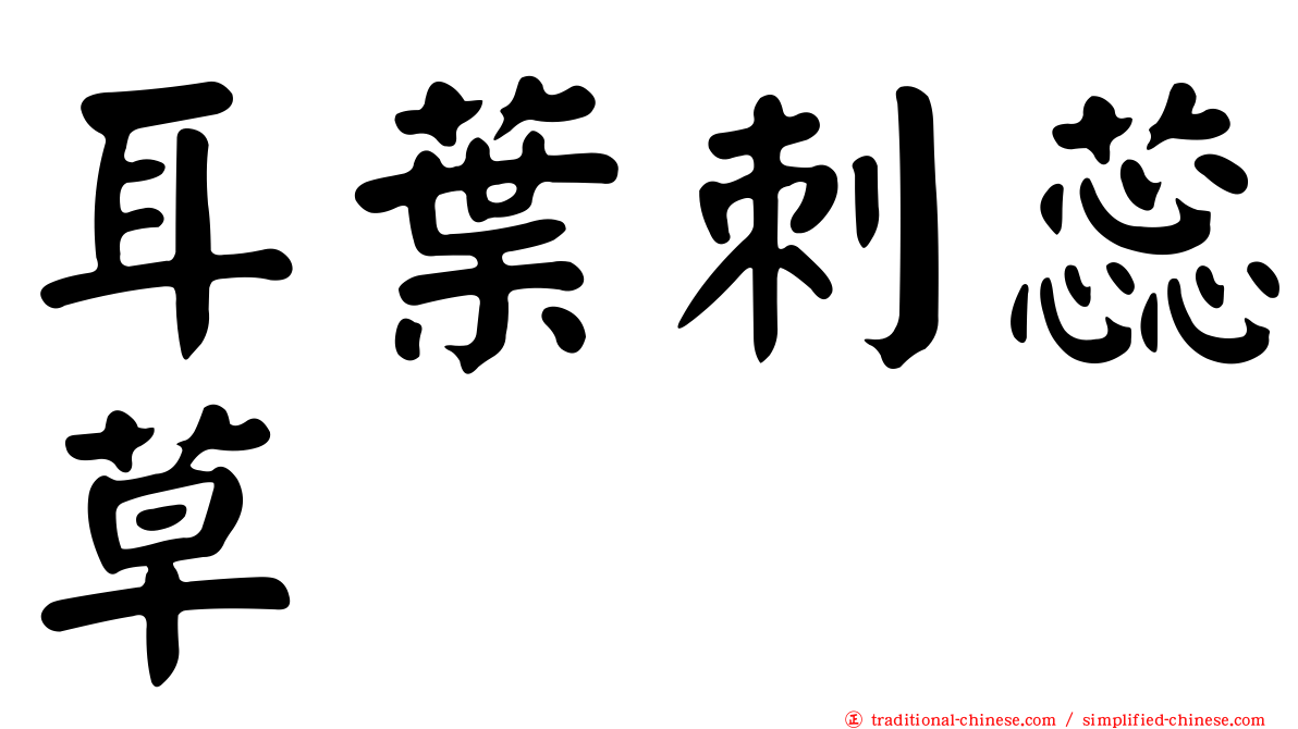 耳葉刺蕊草