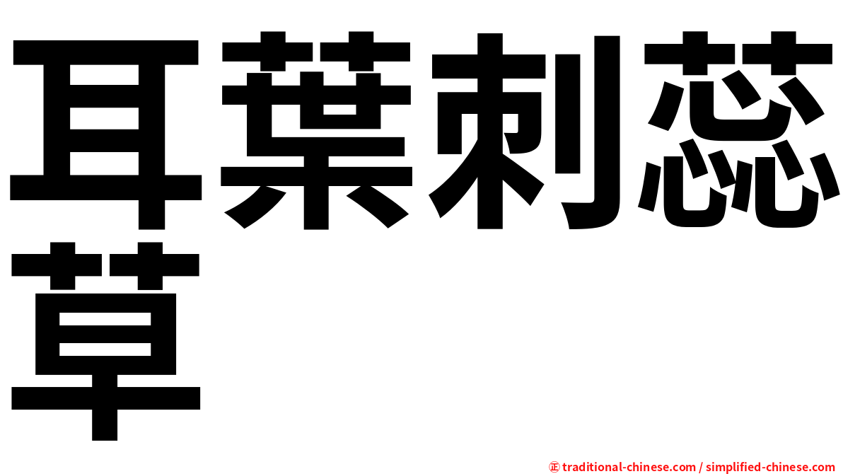 耳葉刺蕊草