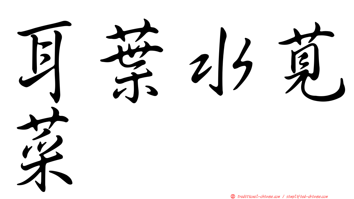 耳葉水莧菜