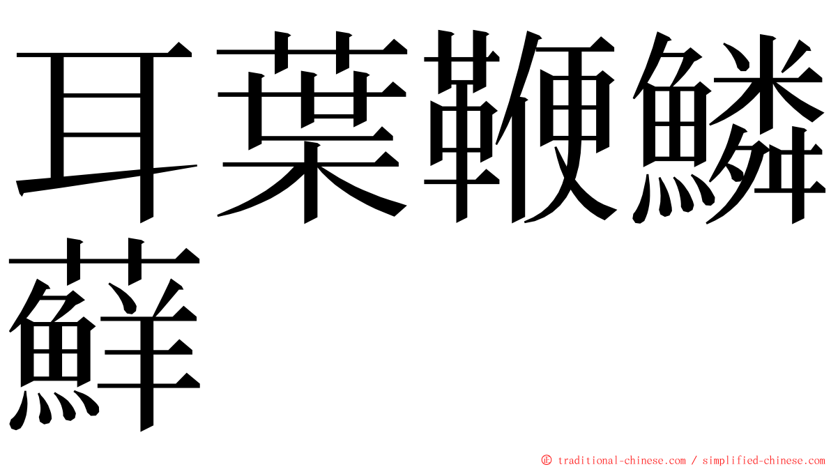 耳葉鞭鱗蘚 ming font