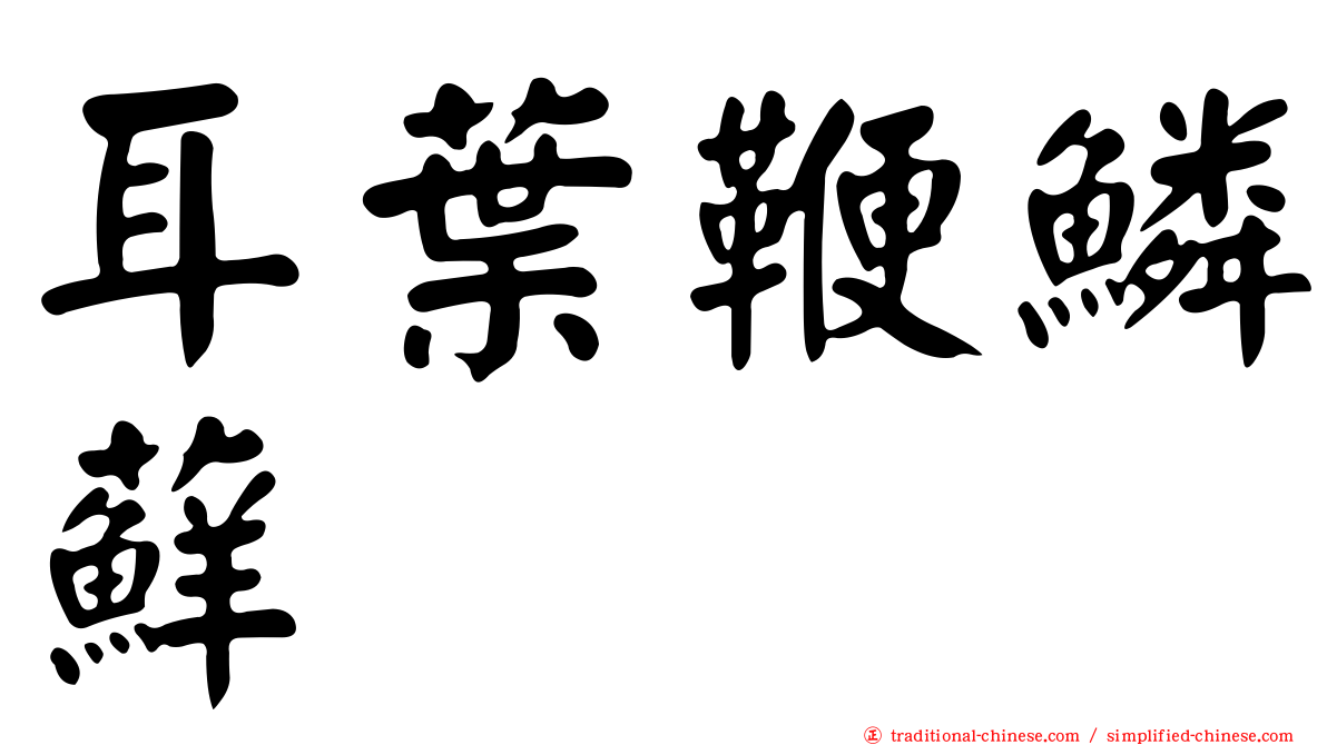 耳葉鞭鱗蘚