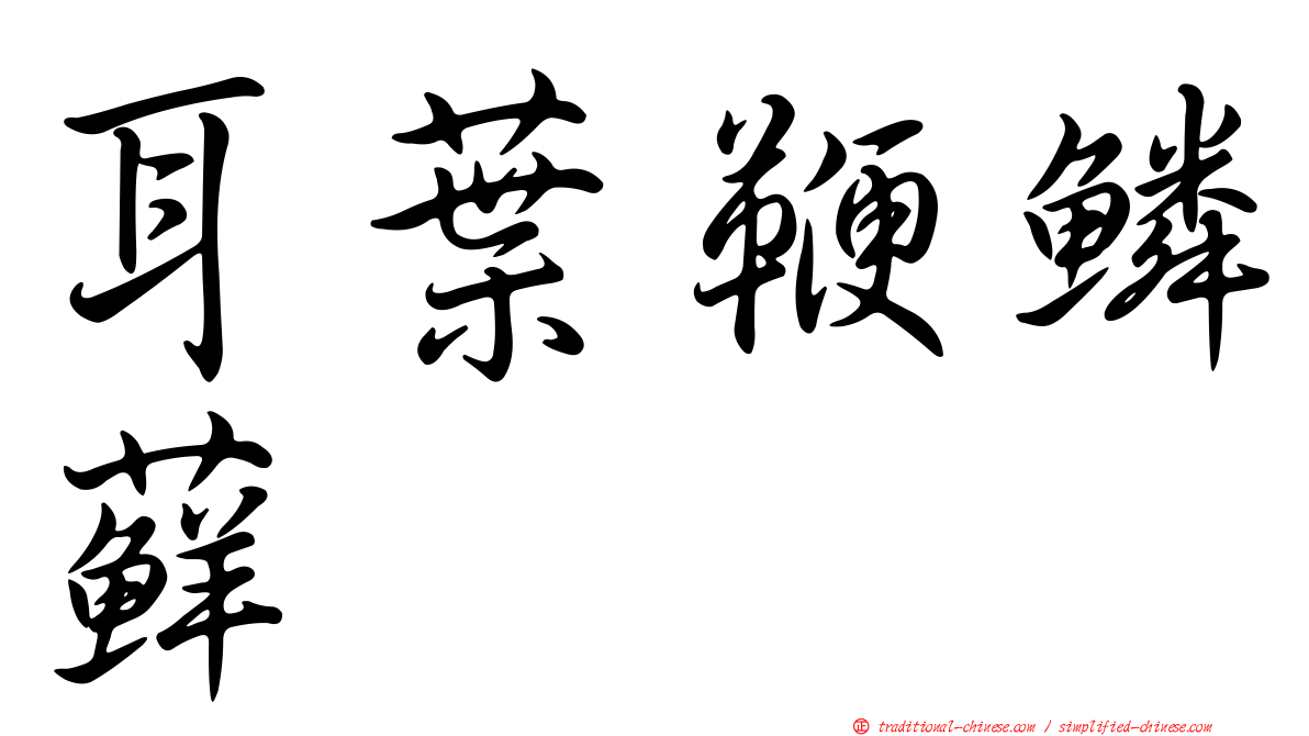 耳葉鞭鱗蘚