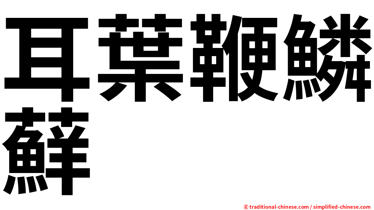 耳葉鞭鱗蘚