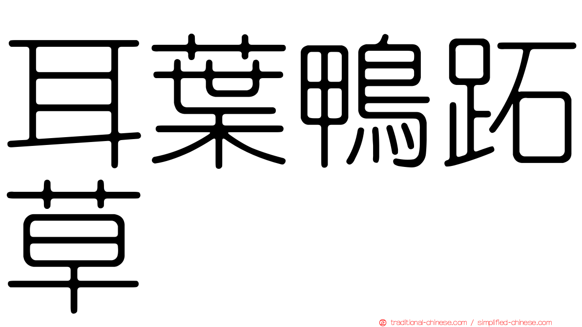 耳葉鴨跖草