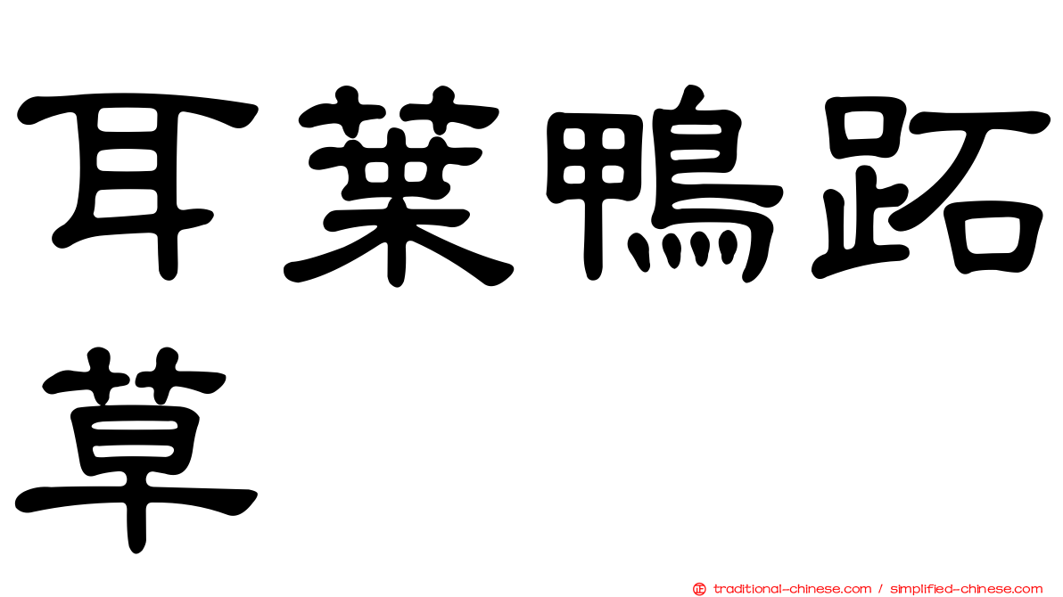 耳葉鴨跖草