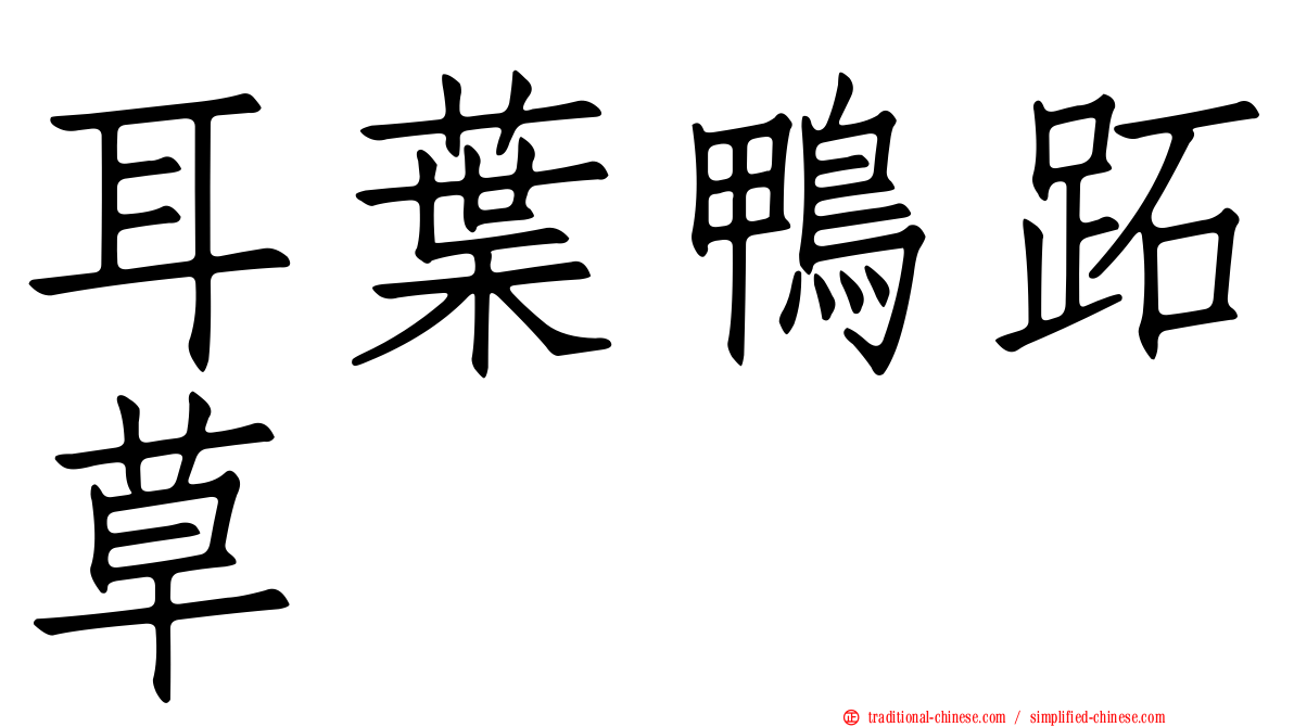 耳葉鴨跖草