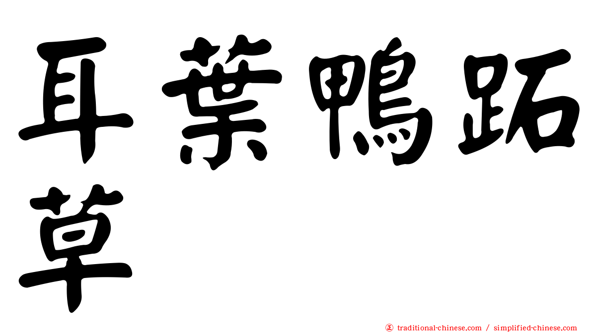 耳葉鴨跖草