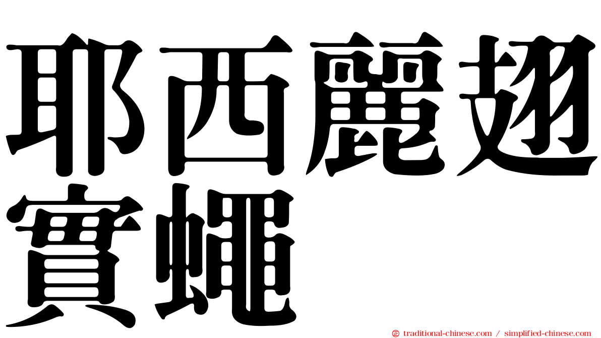耶西麗翅實蠅