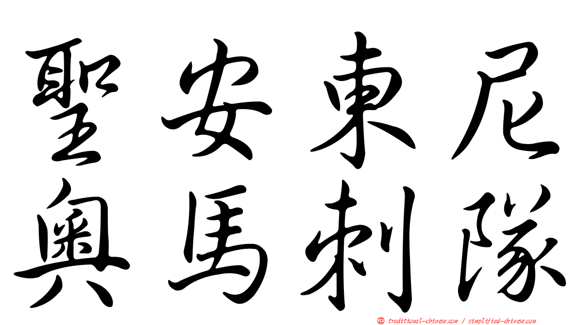 聖安東尼奧馬刺隊