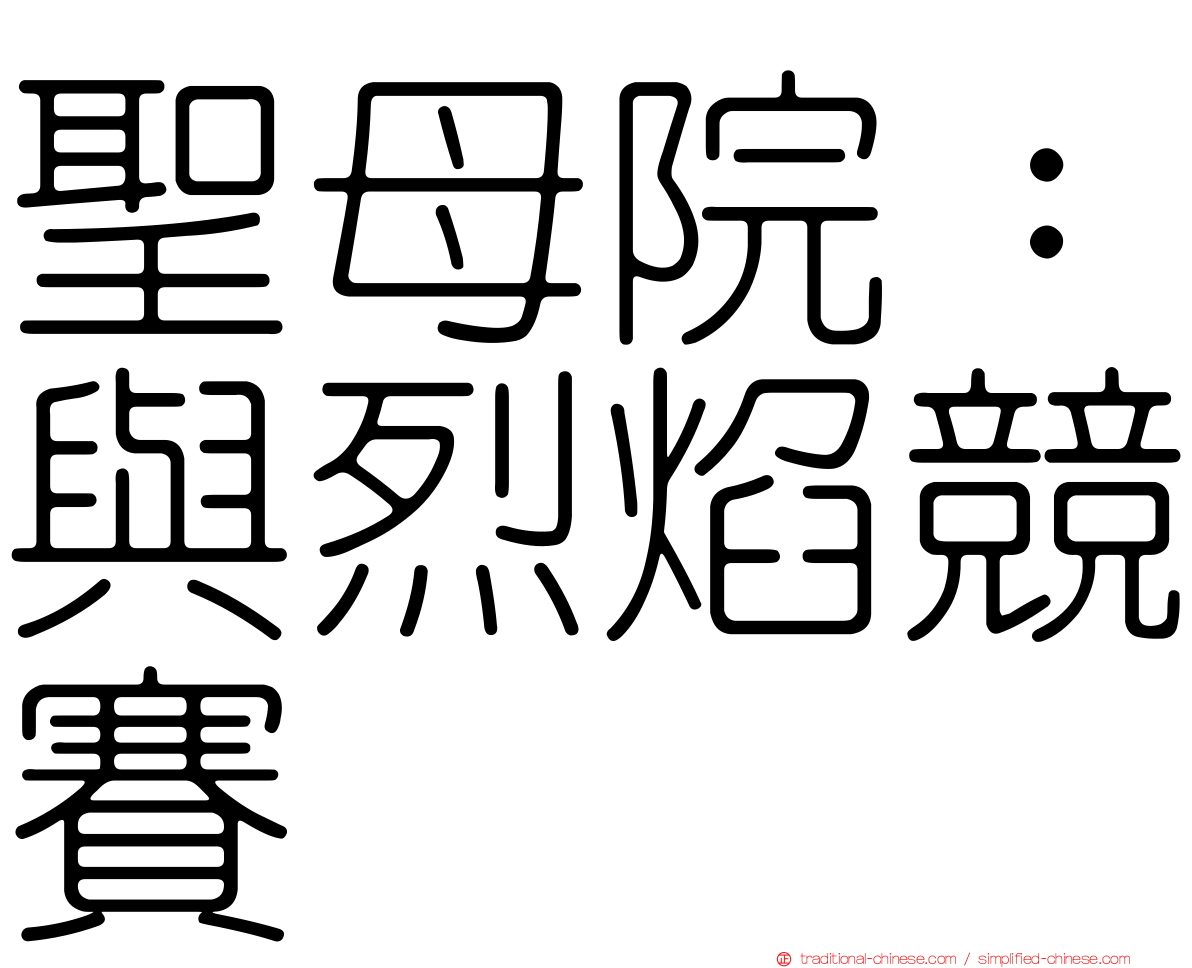 聖母院：與烈焰競賽