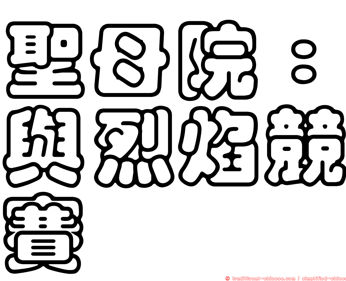 聖母院：與烈焰競賽