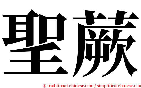 聖蕨 serif font