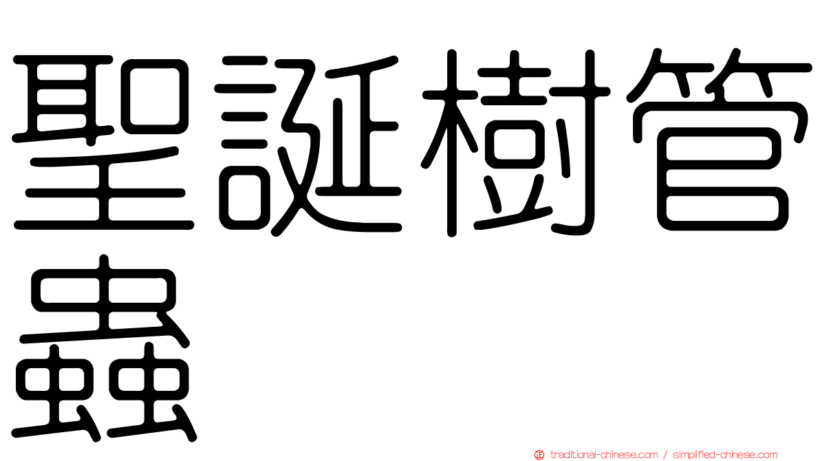 聖誕樹管蟲