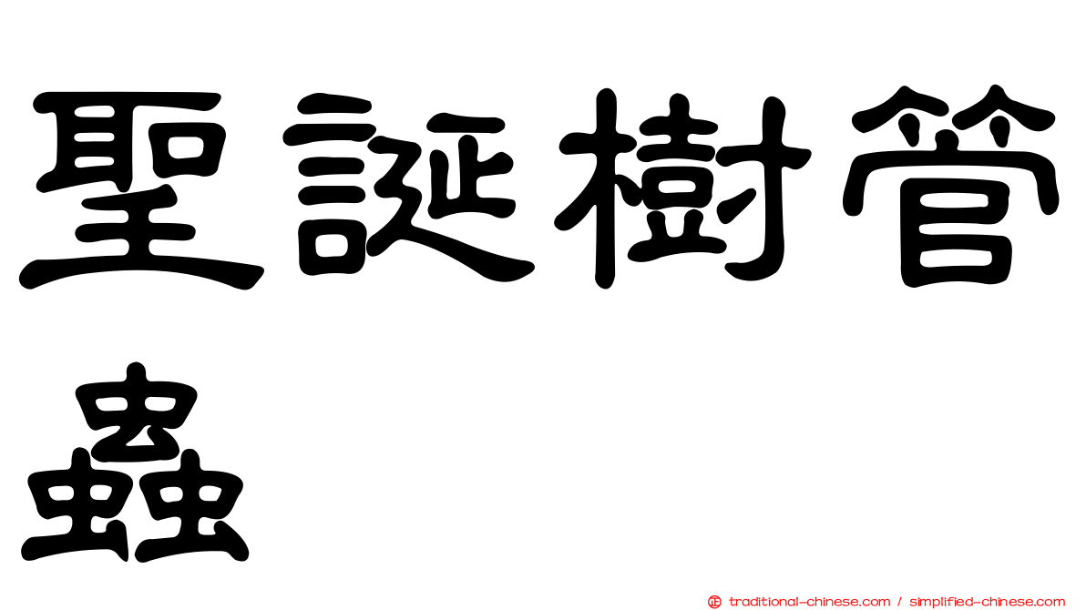 聖誕樹管蟲