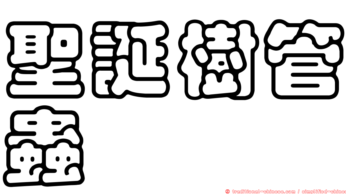 聖誕樹管蟲