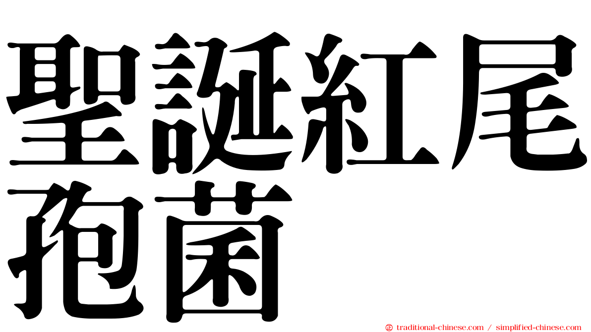 聖誕紅尾孢菌