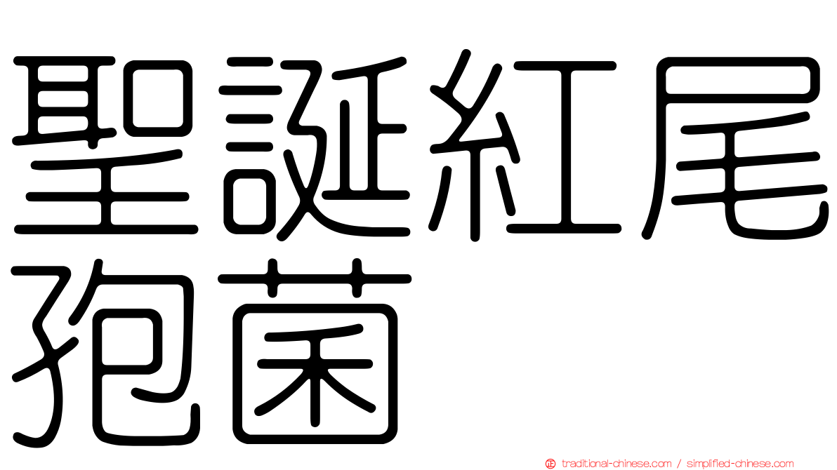 聖誕紅尾孢菌