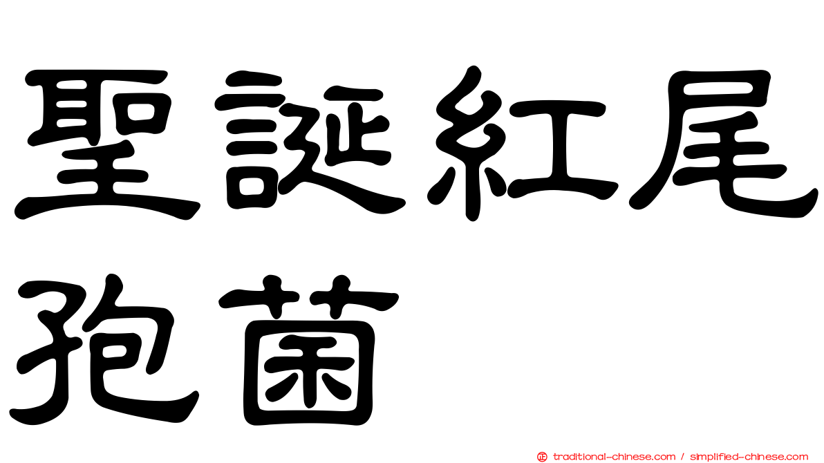 聖誕紅尾孢菌