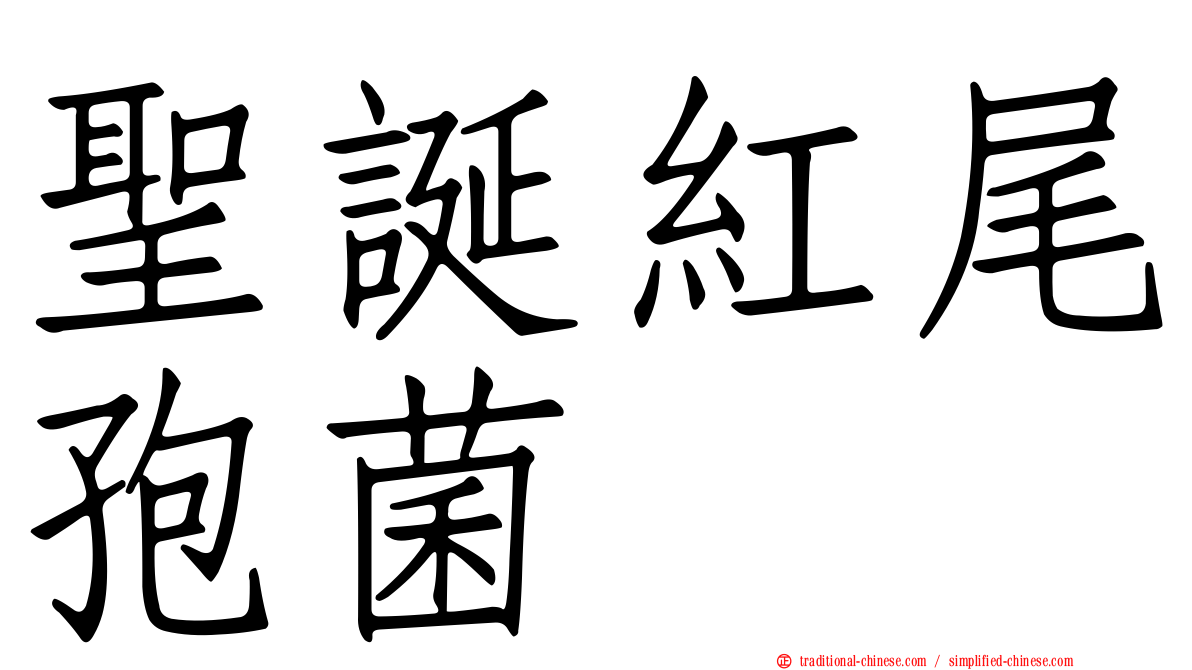 聖誕紅尾孢菌