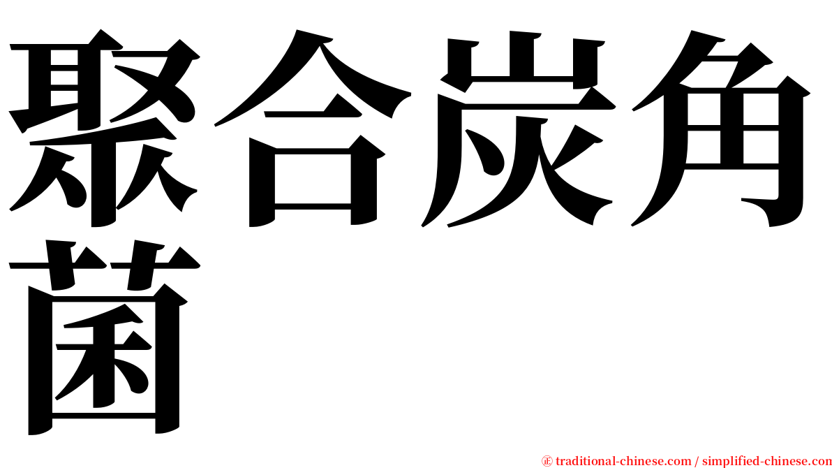 聚合炭角菌 serif font