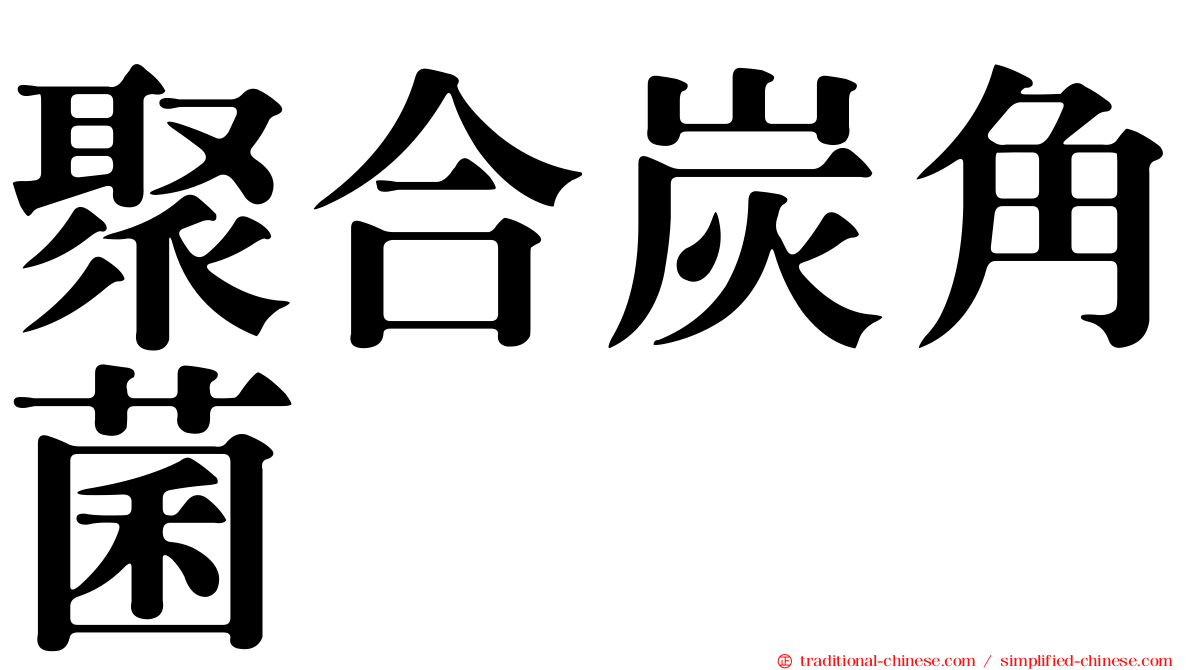 聚合炭角菌