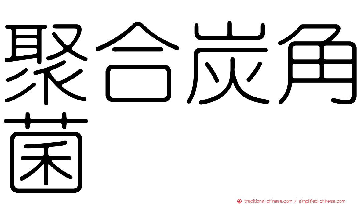 聚合炭角菌