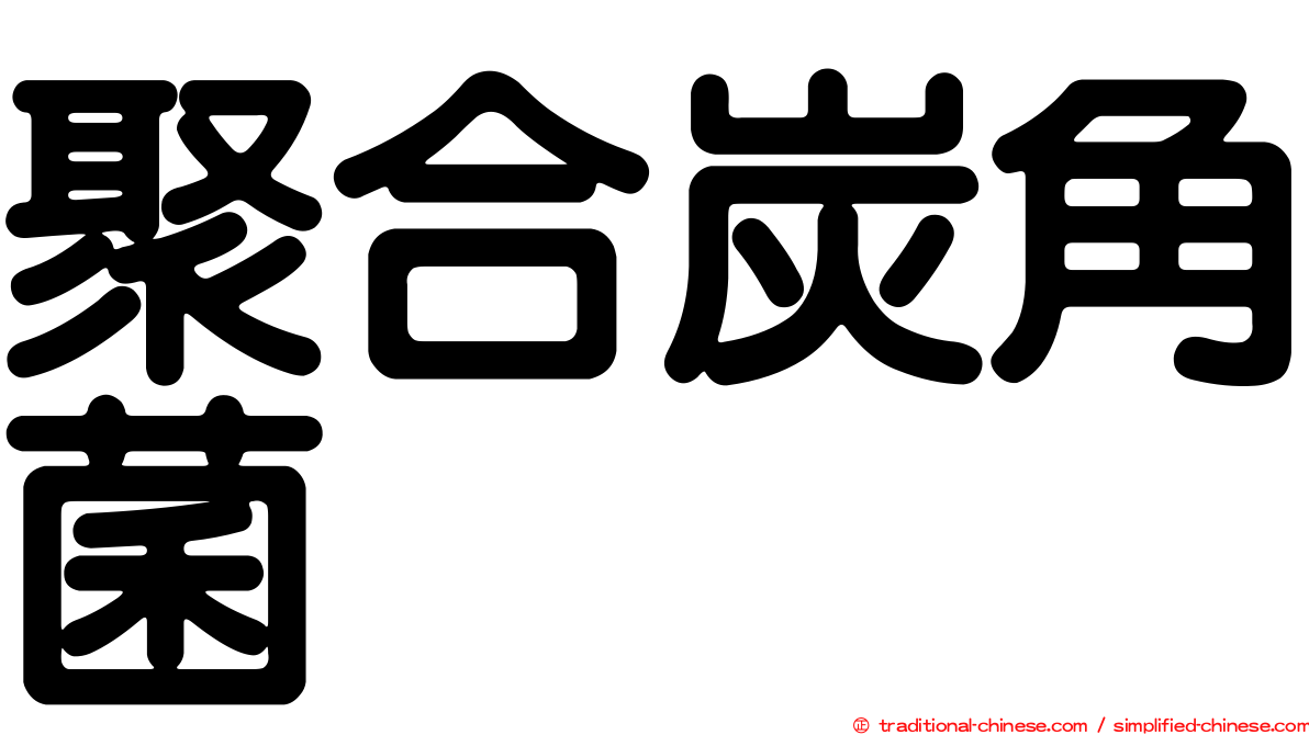 聚合炭角菌