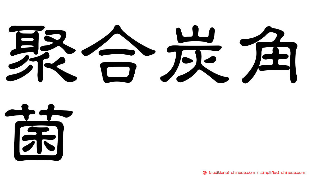 聚合炭角菌