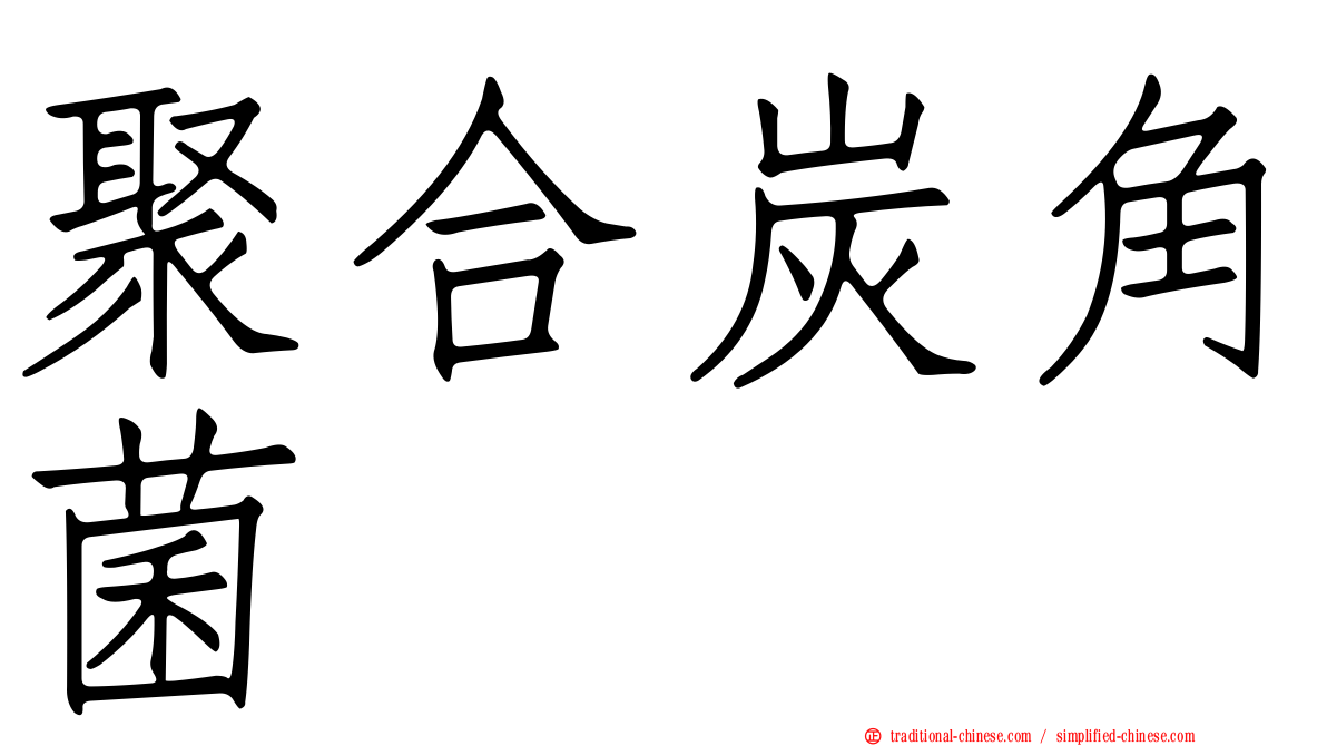 聚合炭角菌
