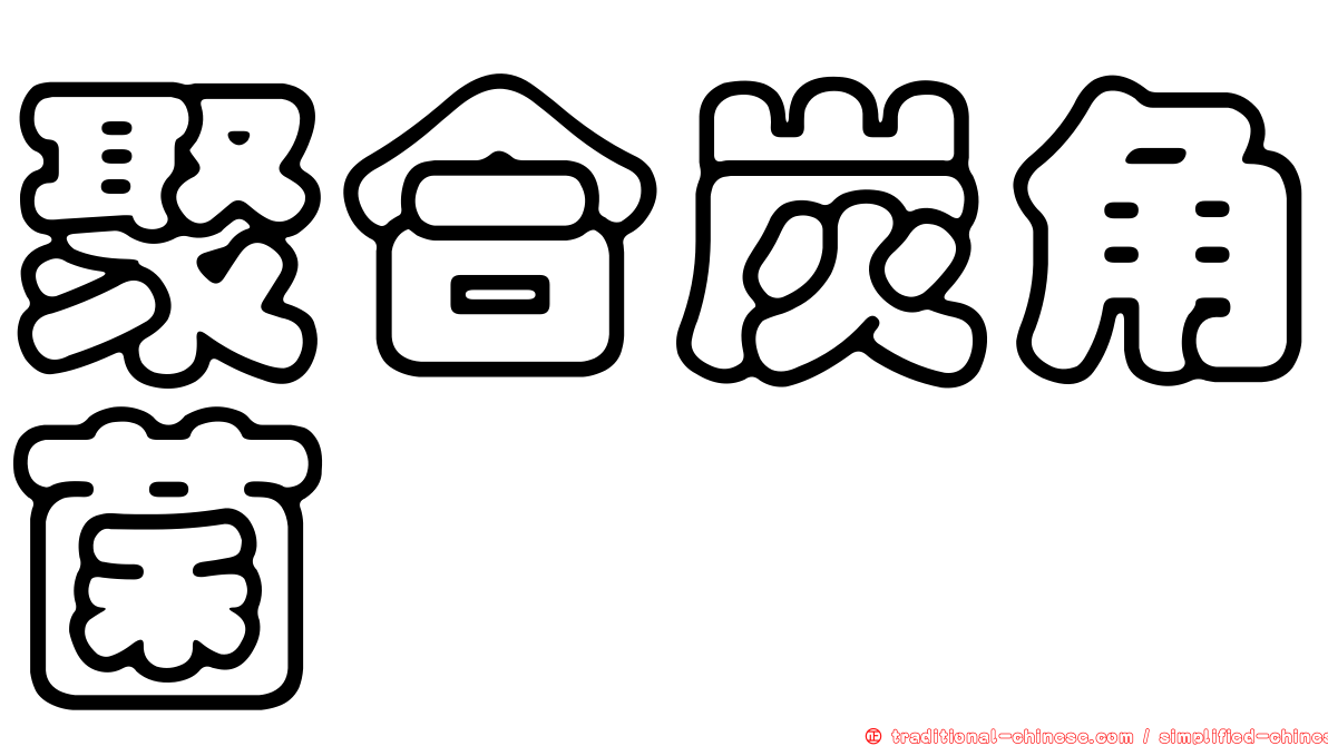 聚合炭角菌