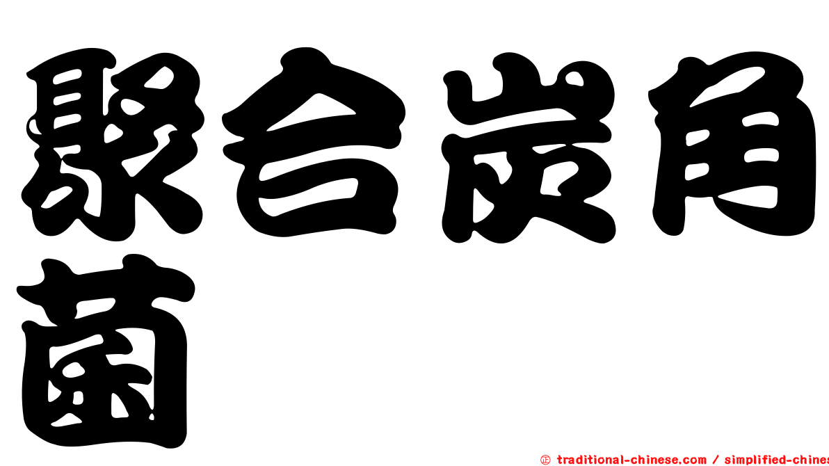 聚合炭角菌